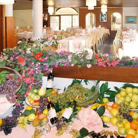 Hotel Malcesine ホテル 3*
